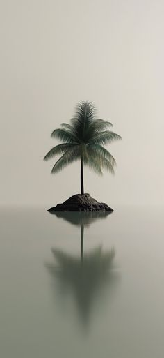 a lone palm tree sitting on an island in the middle of the ocean with its reflection