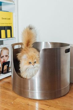 a cat sitting in a stainless steel dog bed on top of a hard wood floor