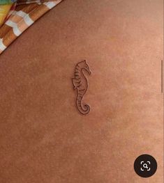 a close up of a person's stomach with a sea horse tattoo on it