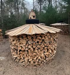 a large pile of logs sitting in the middle of a forest with a bird house on top