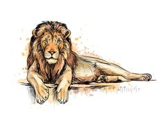 a lion laying down on the ground