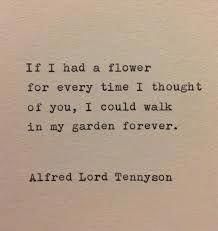 an old typewriter with the words if i had a flower for every time i thought of you, i could walk in my garden forever