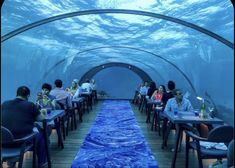 people are sitting at tables in an underwater restaurant with blue carpeted floor and walls