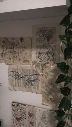 several pieces of paper with drawings on them hanging on a wall next to a potted plant