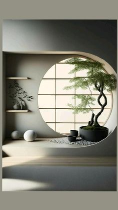 a bonsai tree in front of a round window