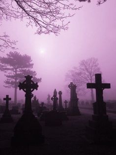 a graveyard with crosses and trees in the fog