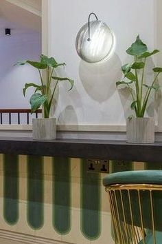 three potted plants sit on top of a shelf next to a green chair in front of a mirror