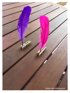 two purple and pink feathers sitting on top of a wooden table next to each other