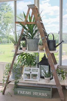 a wooden ladder is holding plants in pots and potted plants on a shelf next to a window