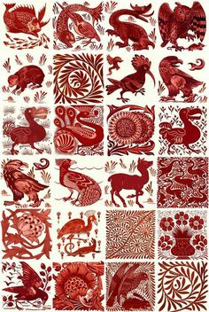 many different types of animals and plants in red on white paper, with the words