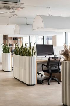 an office with two planters on either side of the desk