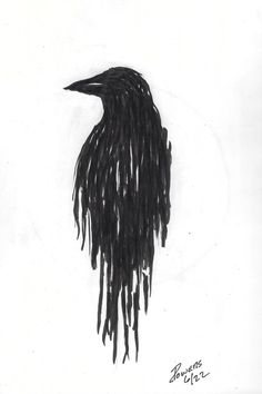 a drawing of a bird with long black feathers