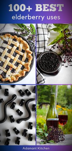 the cover of the book, 100 + best elderberry uses by adamant kitchen