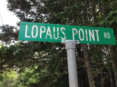 a green street sign that reads lopaus point rd