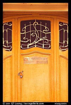 a wooden door with decorative iron work on it