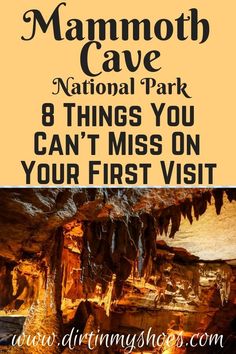 mammoth cave national park and 8 things you can't miss on your first visit