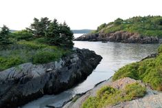 an island with some trees and water in the middle of it, surrounded by rocks