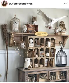 there are many owls sitting on top of the shelves in this room and one owl is flying