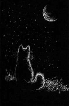 a black and white drawing of a cat looking up at the stars in the night sky