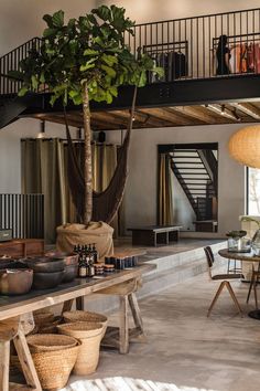 a living room filled with furniture and a tree