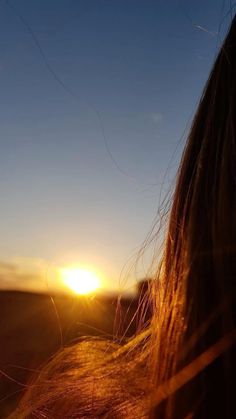 the sun is setting behind a woman's head with her hair blowing in the wind