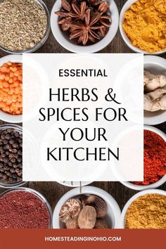 bowls full of spices and herbs with the words essential herbs & spices for your kitchen