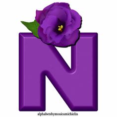 the letter n has a purple flower on it