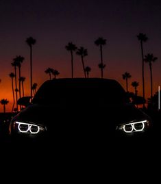 the headlights of a car in front of palm trees at night with an orange sky behind them