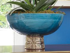 a large blue bowl filled with plants on top of a table