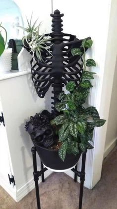 a skeleton planter with plants in it