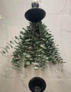 a shower head with plants growing out of it