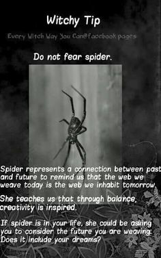 Spider Totem Spider Witchcraft, Spider Meaning, Tarantula Spiritual Meaning, Spider Meaning In Witchcraft, Spider Spirit Animal, Spirit Animal Spider, Every Witch Way, Wicca Witchcraft, Wiccan Spells