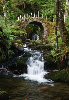 a stream running through a lush green forest filled with lots of trees and rocks next to a stone bridge