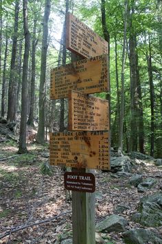 there are many signs on this post in the woods