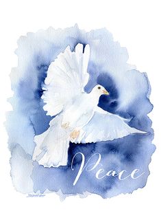 a watercolor painting of a white dove with the word peace on it's side