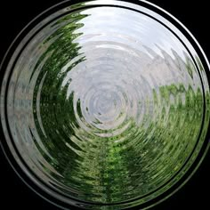 a circular view of trees in the water