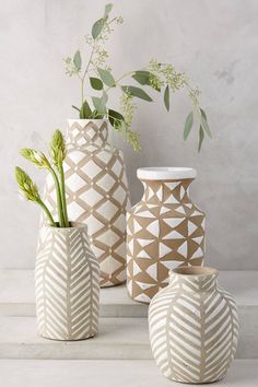 three white vases with plants in them on a table next to each other,