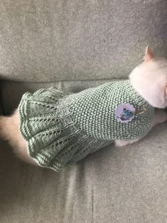 a small cat wearing a sweater on top of a gray couch with it's head sticking out