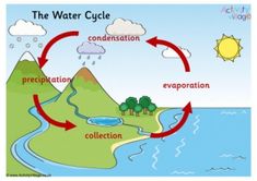 the water cycle is shown in this diagram