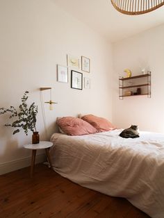 a cat is laying on the bed in a room with white walls and wood floors