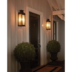 two potted plants sitting on the front steps of a house with lights above them