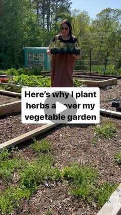 a woman standing in the middle of a vegetable garden with her arms out and texting here's why i plant herbs a very veggieable garden