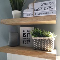 some books and plants are sitting on the shelves in front of a potted plant