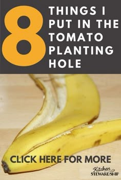 there are eight things i put in the tomato planter hole and how to use them