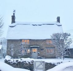 a house covered in snow next to some trees and bushes with lights on the windows