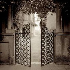 Venezia - 5 Poster Print by Alan Blaustein-VARPDXABIT656 Image 1 Vegas House, Spanish Hacienda, Metal Gate, Medicinal Garden, Gate Ideas, Gate Door, Wrought Iron Gate, Front Gate, Bronze Material