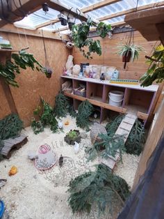 a room with plants and other things in it