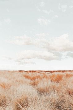 an empty field with some brown grass in the foreground