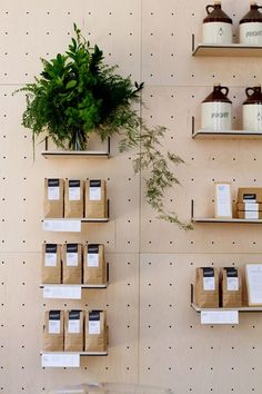 the wall is filled with boxes, cups and plants on shelves next to each other