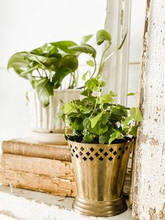 two potted plants sitting on top of a window sill next to some books